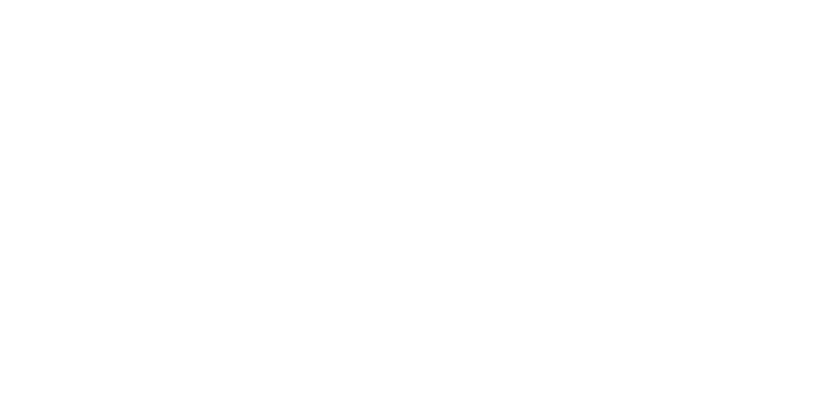 Stripe wordmark